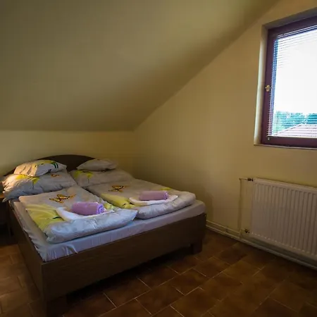 Mickey's Thermal Apartmán Tiszakécske